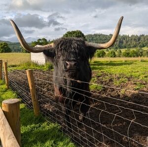 Meet your Posher, Kat